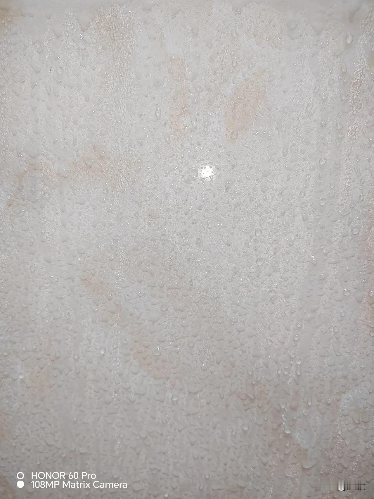 #春日生活打卡季#
        潮湿的天气持续着，今早起来墙壁上不是有水珠，
