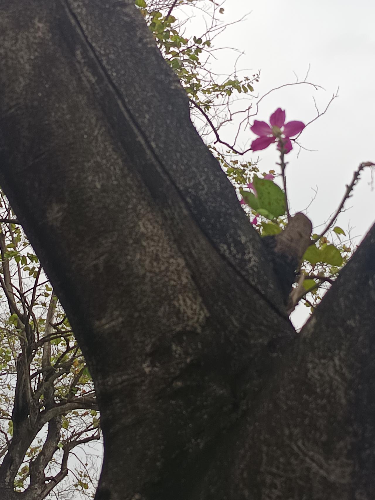 我在紫金西堤
发现一个很严重的问题
但不知道怎么说才好



你敢相信吗？现在都