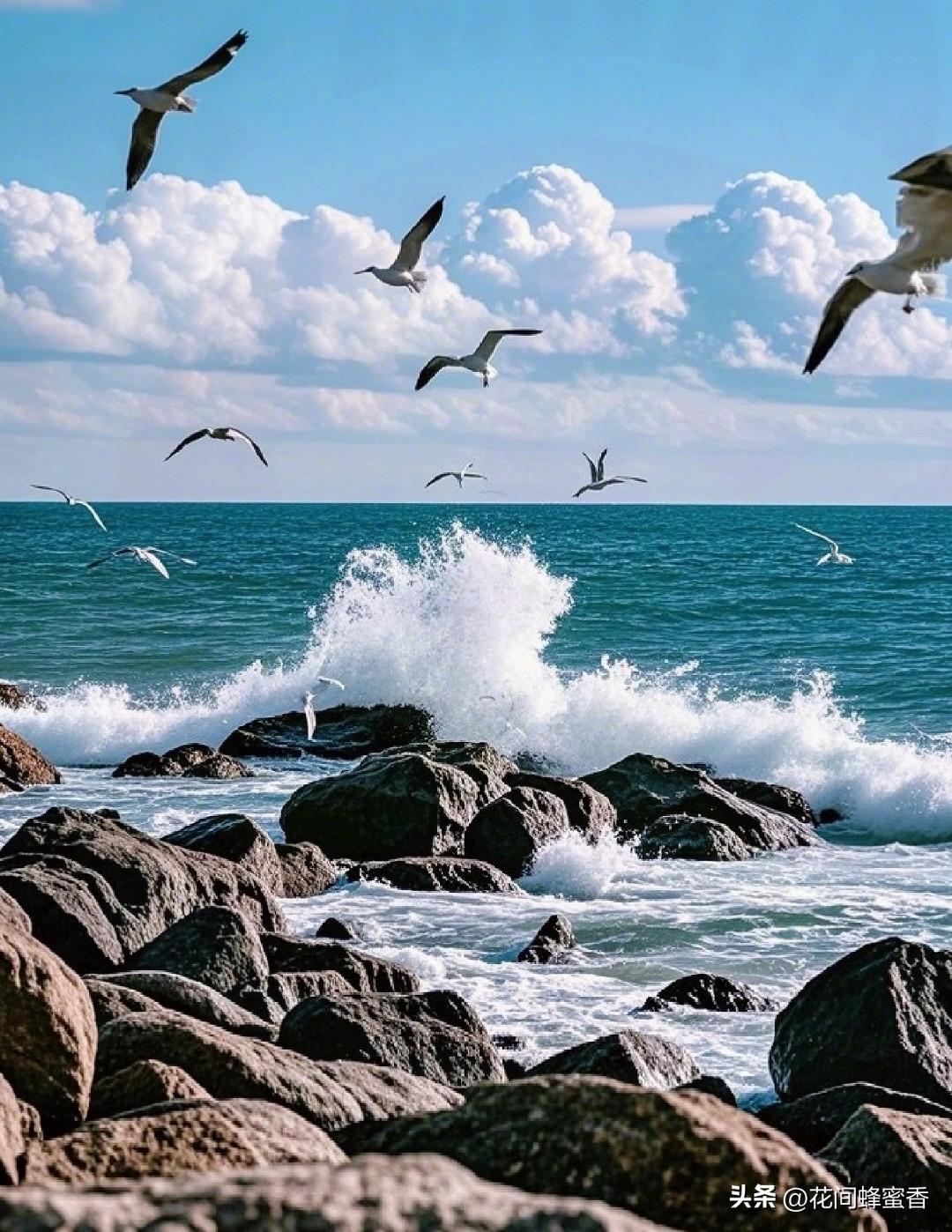 什么海不是海生活里好多名字带“海”的地方根本不是真正的大海。像云海、林海、人海、