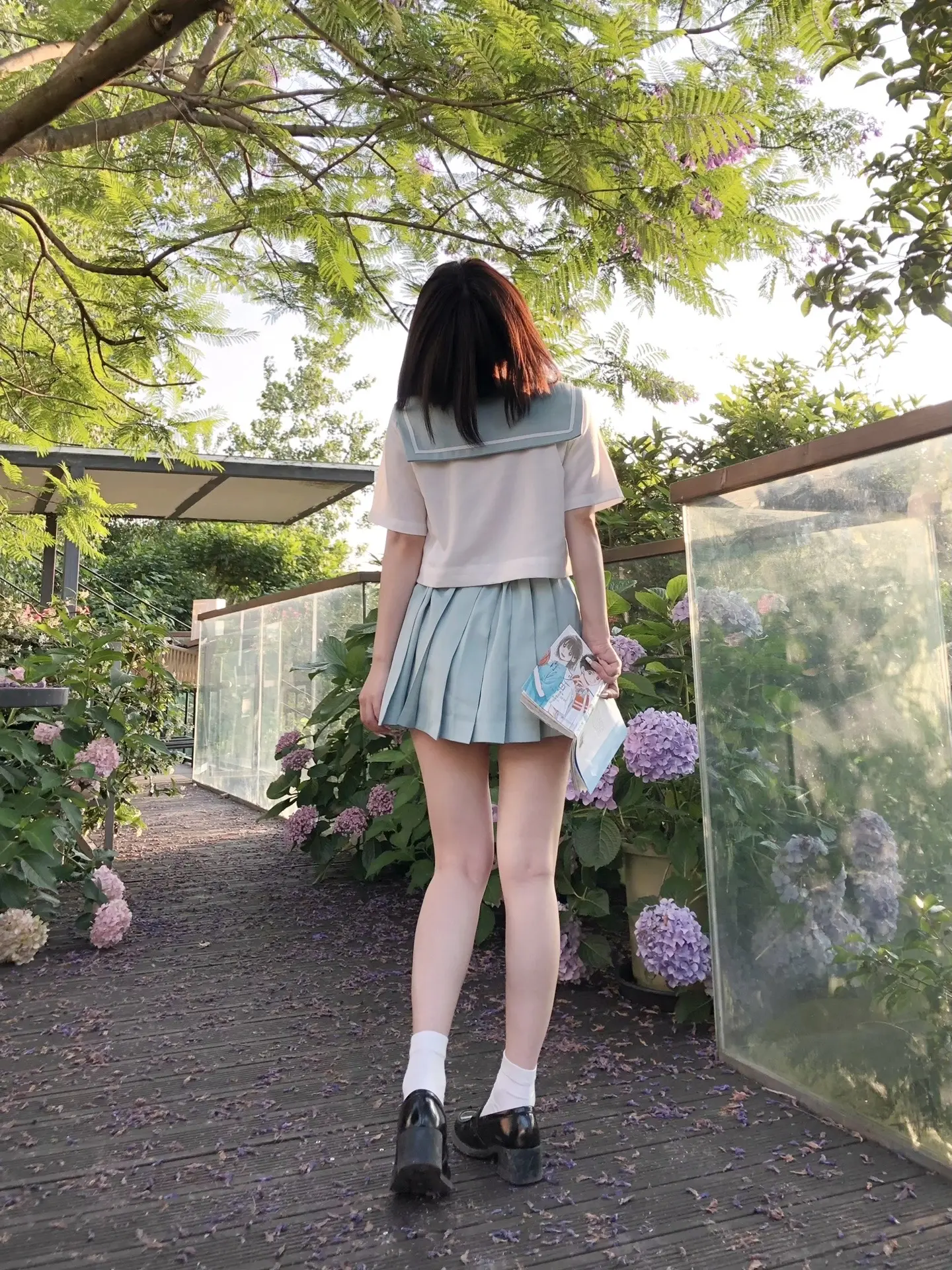 夏日，绿荫，花瓣。