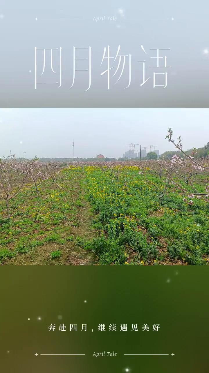 四月物语。
奔赴四月，继续遇见美好。