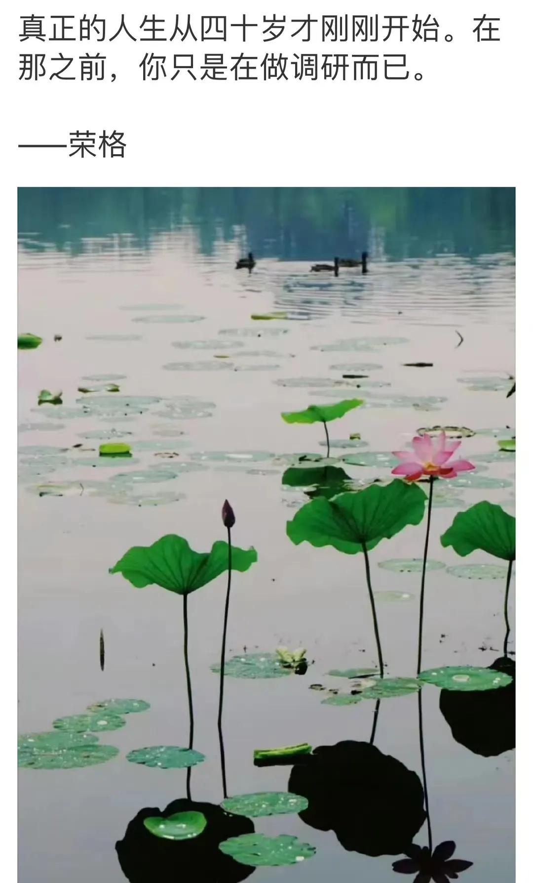 话是这么说[泪奔]
可是我怎么感觉眼睛开始近视+老花，
牙齿也开始对冷热酸冷有反