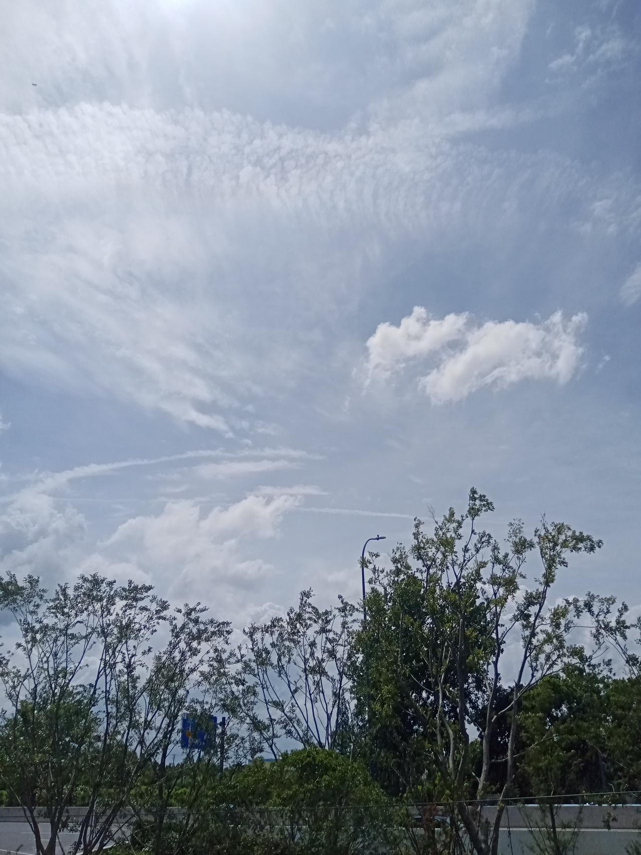来了，真的来了，赶紧拍了张天空的照片，天气预报说了，“白海豚”带来的气流影响，从