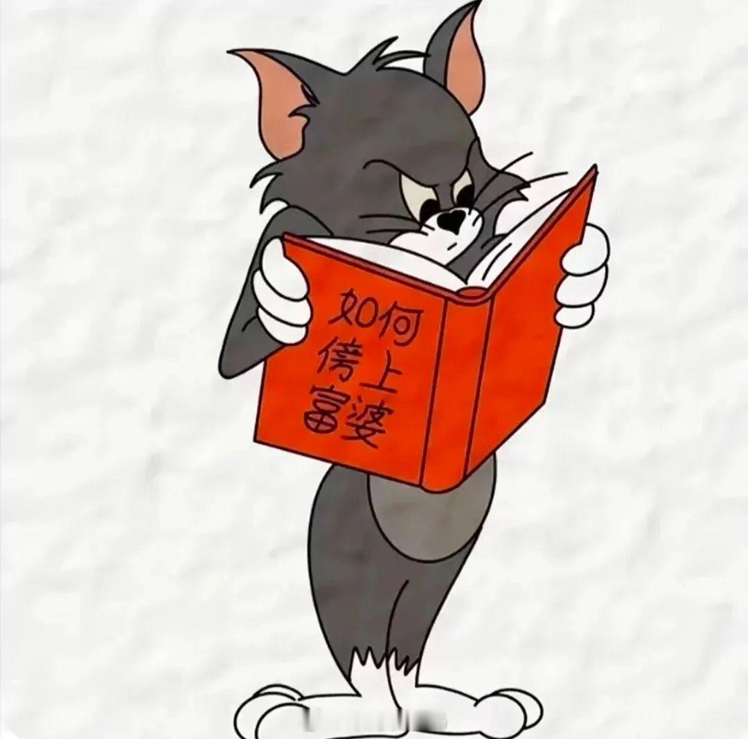 #新款iPadAir和Pro启用80%限度充电功能#一点没有用且丝毫没必要啊。i