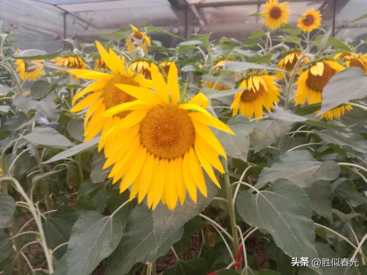 下半年要来了。很多人嘴上说“随便吧”，心里其实早就有答案：想把日子过得更顺一点、