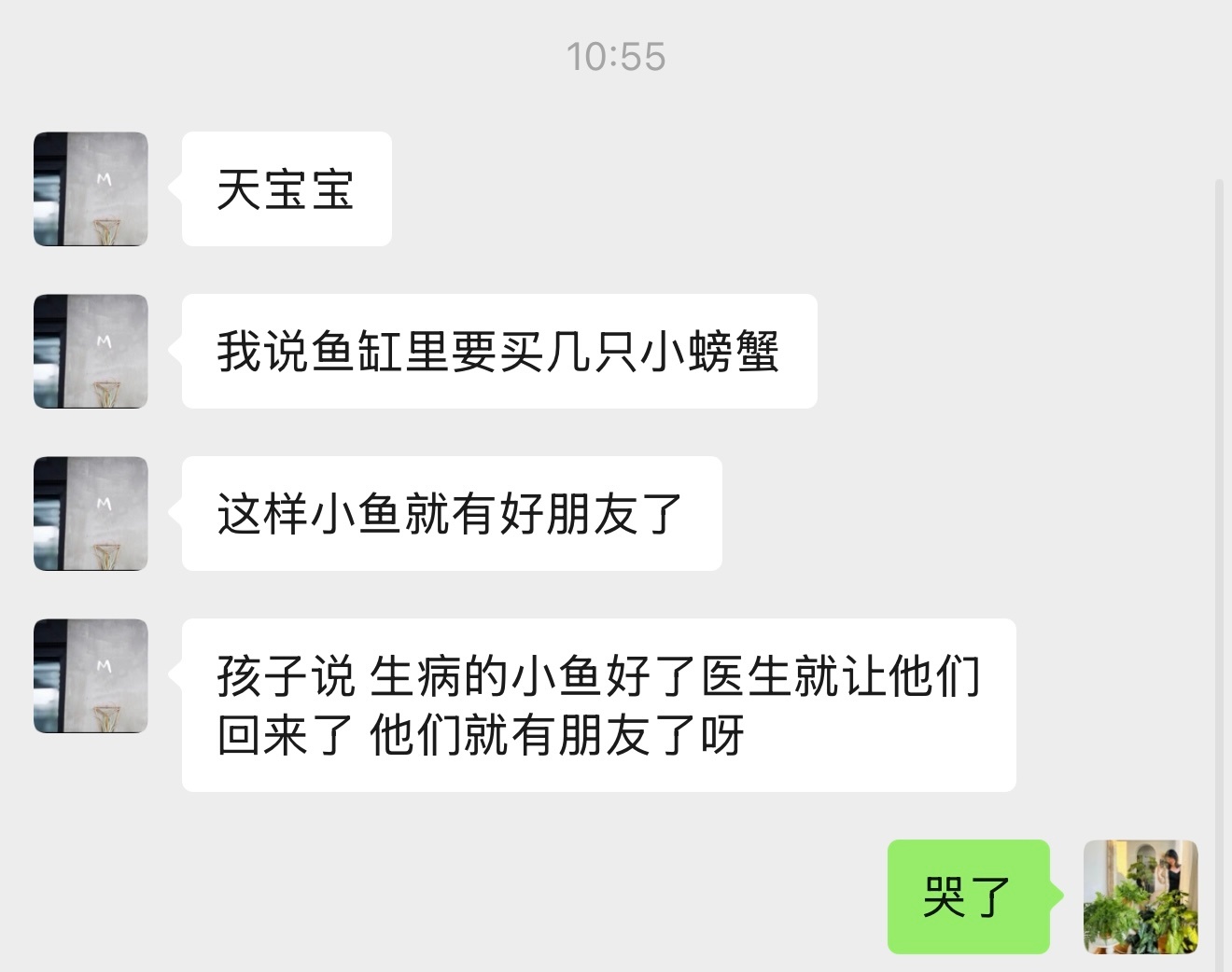之前家里鱼缸被白点病洗劫，10条鱼幸存4条。Yuni问起巴巴和嘻嘻去哪了，我们说