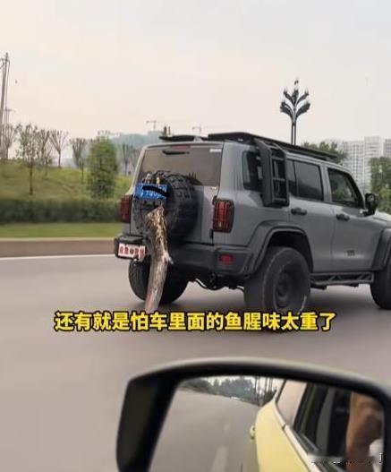 在四川宜宾，发生了一件既有趣又引人关注的事情。一名男子在钓鱼时意外捕获了一条重达