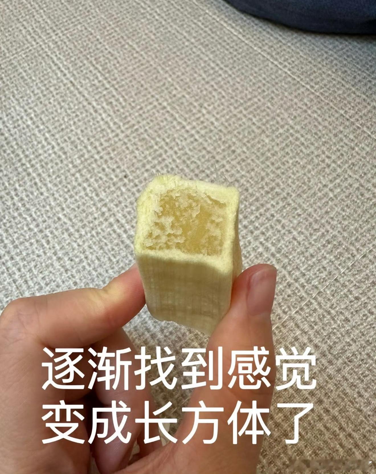 谁教你这样吃甘蔗的不削皮直接整根猛啃，硬核吃法刷新认知，满嘴蔗渣看得人捏一把汗。