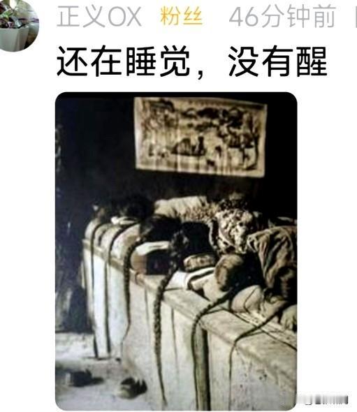 这张图片让人哭笑不得！土炕上躺着一溜人，每个脑袋垂着一条长辫子。图片题目是:他们