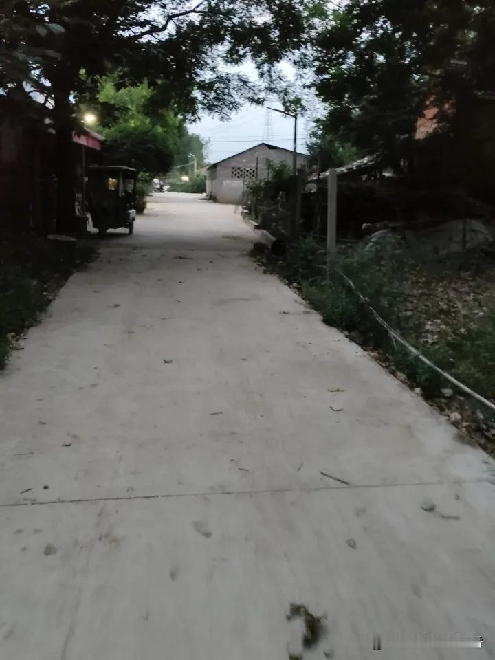 幽径通深巷，花影入帘来。
