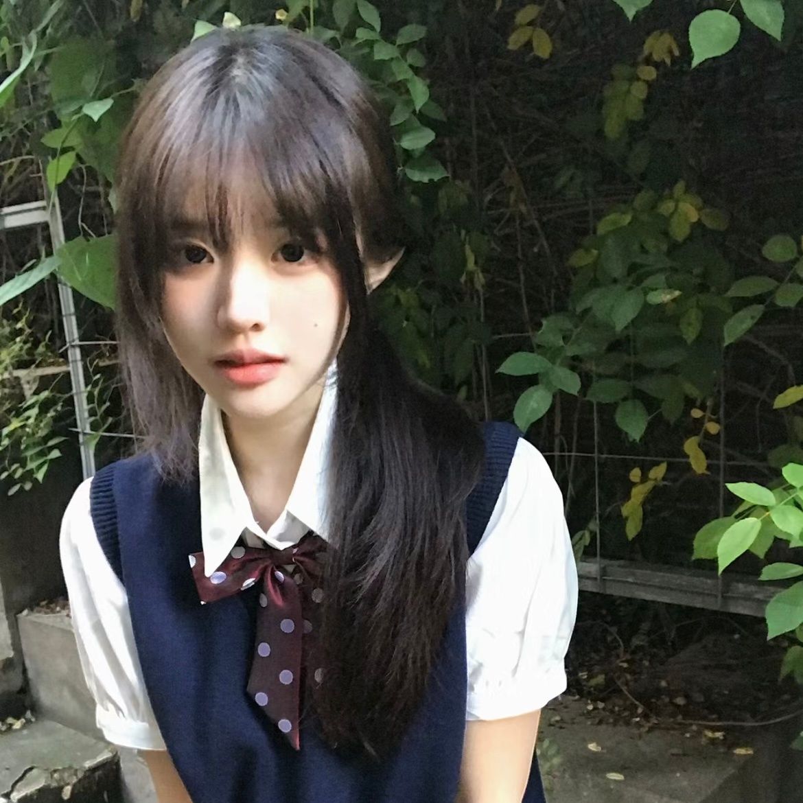 “风起夏涌 绿意盈眸” ​​​