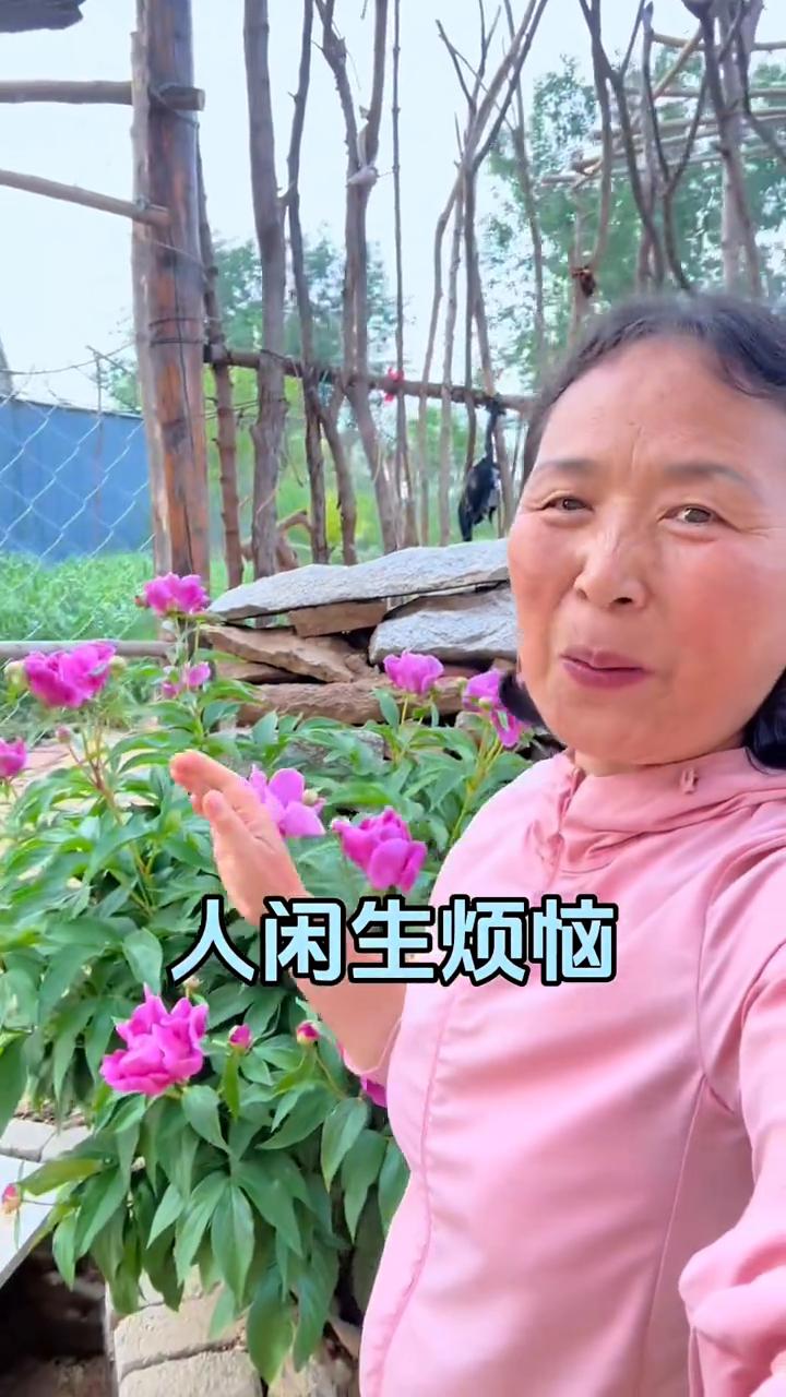 人不能太闲，糖不能太甜。地闲生杂草，人闲生烦恼。地忙产量高，人忙疾病少。忙碌是良