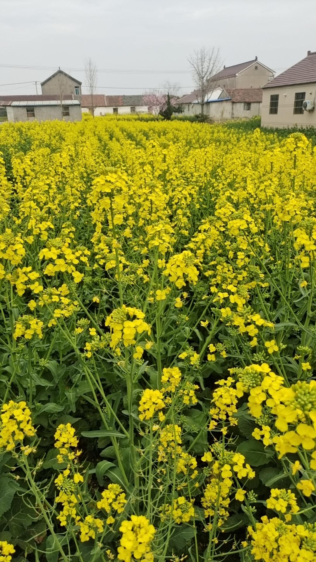 那些突如其来的意外、撕心裂肺的失去、走投无路的困境，逼着我们跳出舒适区，彻底放下