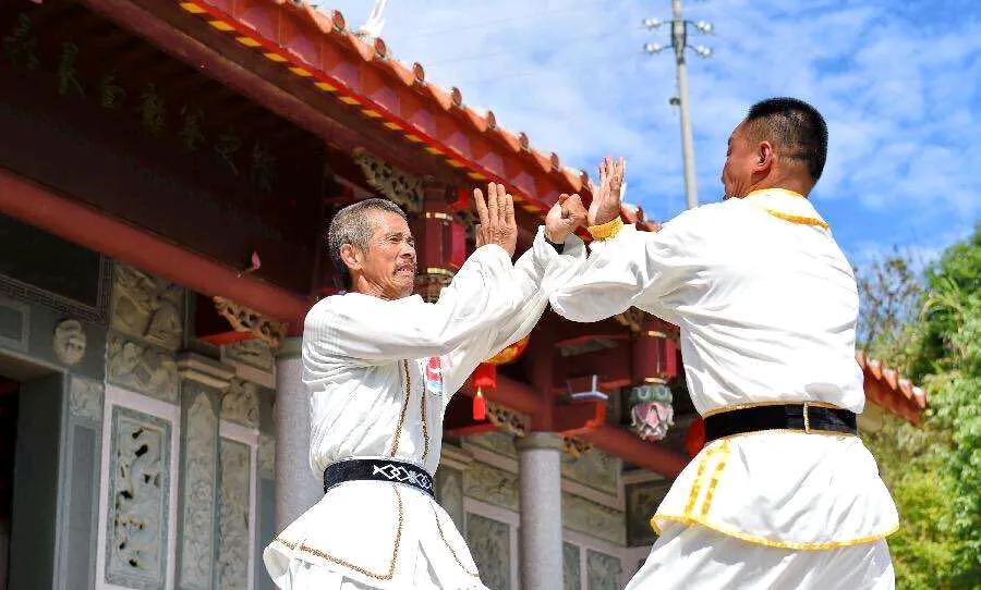 《赞白鹤拳》 
白鹤英姿舞劲风，刚柔并济意无穷。 
拳如闪电惊天地，步似流星耀宇