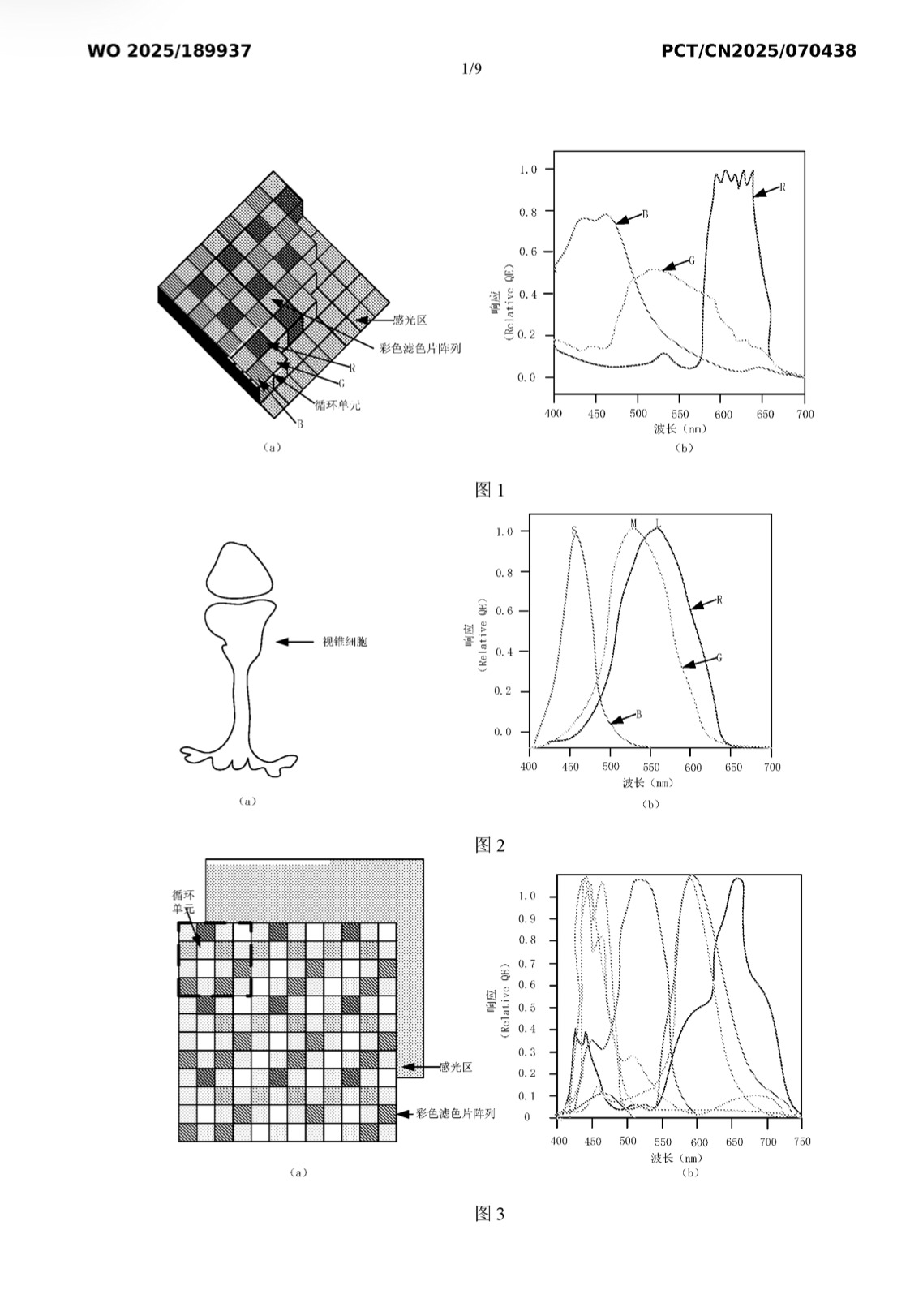 华为有一个 25 年 1 月申请的关于红枫的专利，刚公开没几个月。之前的红枫都是