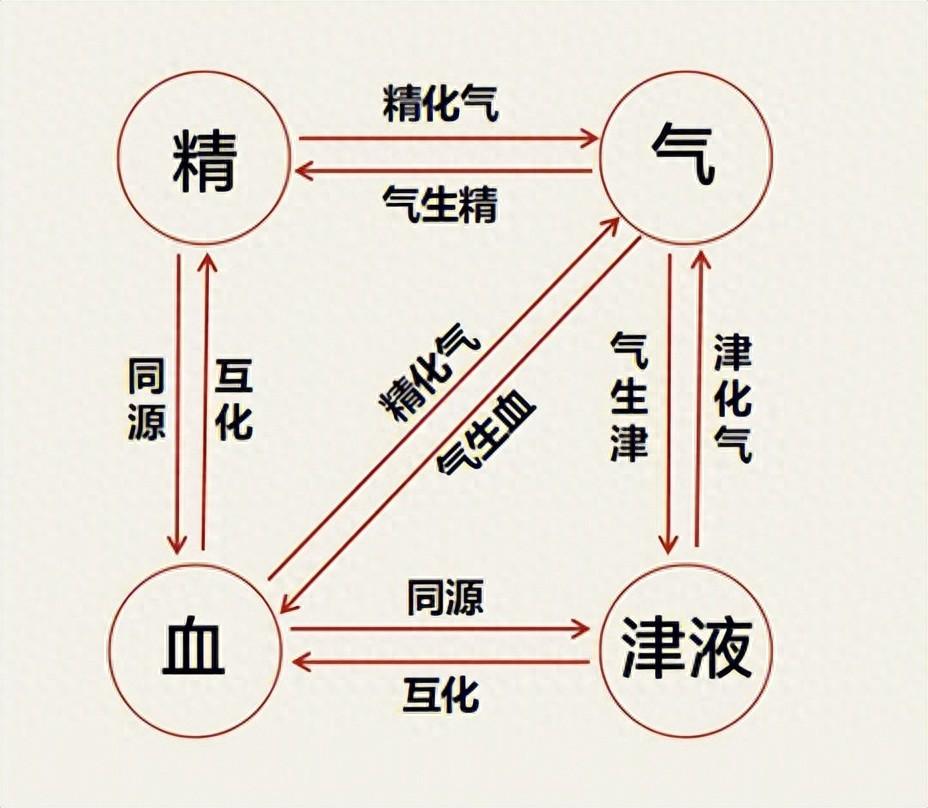 长寿核心秘诀：精血足，人不老！一个温润土方，慢慢补满一身精血
我是中医陈大夫，内