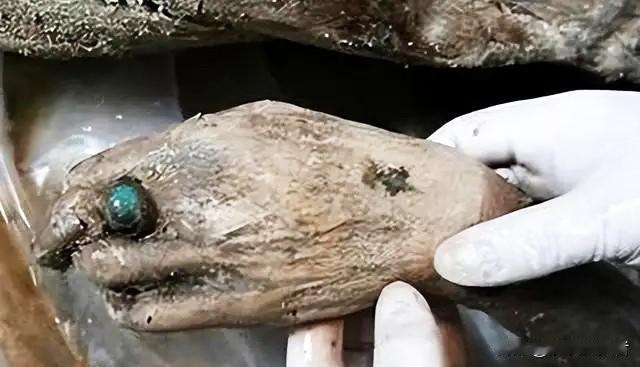 一具沉睡2300年、皮肤仍有弹性、四肢还能弯曲的战国女尸，本该是震惊世界的考古发