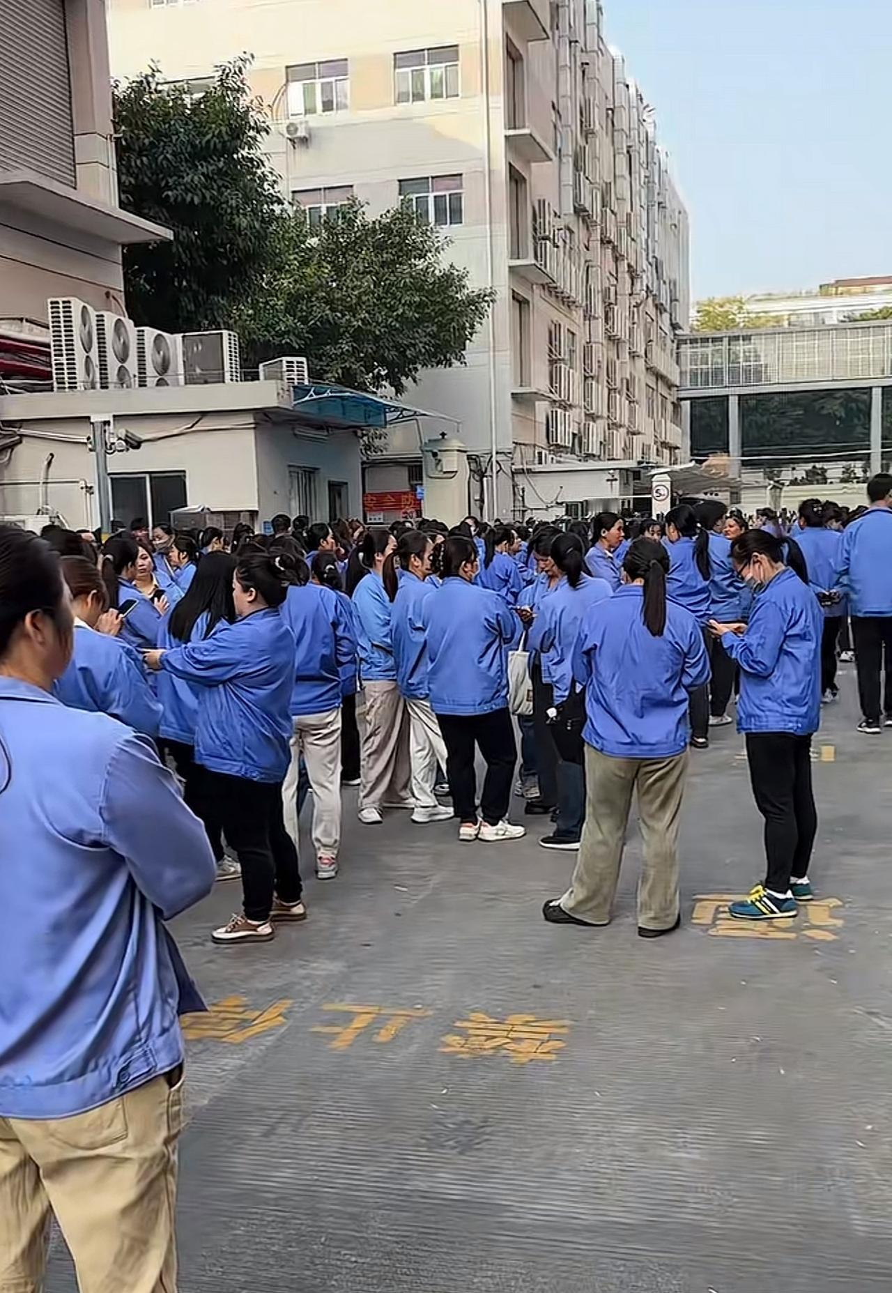 “呼吁尽快以寻衅滋事罪处理易力声非法维权人员”，当前市场环境面临极大挑战，尤其是