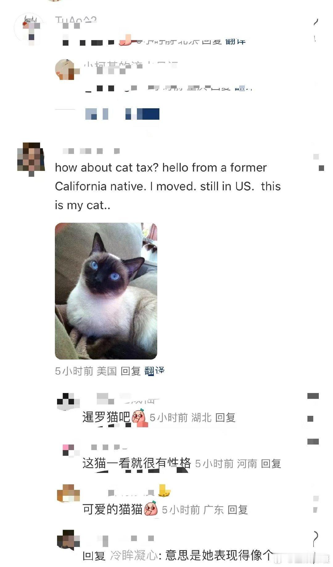 库里也来交熊猫税了  自上次中国行库里和熊猫的亲密互动开始，到这次的再度同框，库