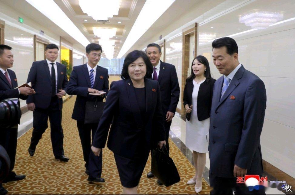 朝中社平壤9月28日电，朝鲜外务相崔善姬27日已乘专机赴华，中国驻朝鲜大使王亚军
