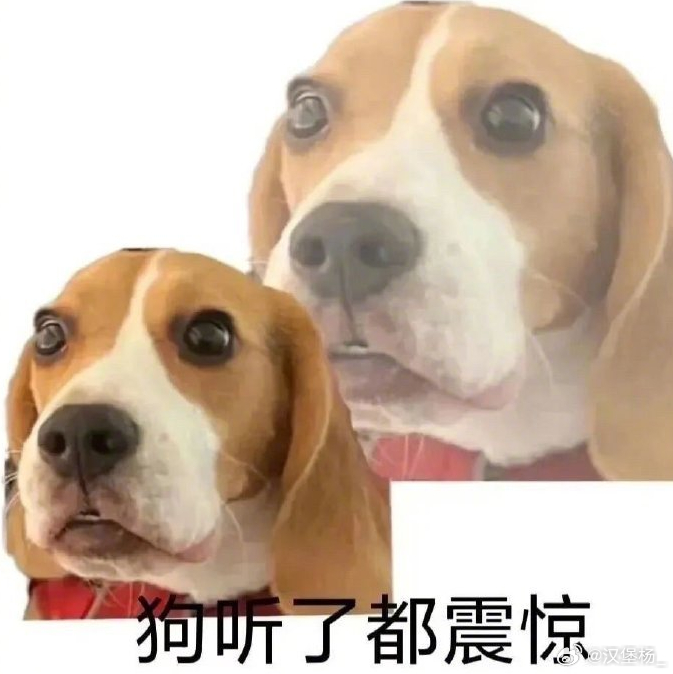 曲婉婷母亲贪污3.5亿元职工安置费善有善报，恶有恶报，因果循环建议不要直播了，不
