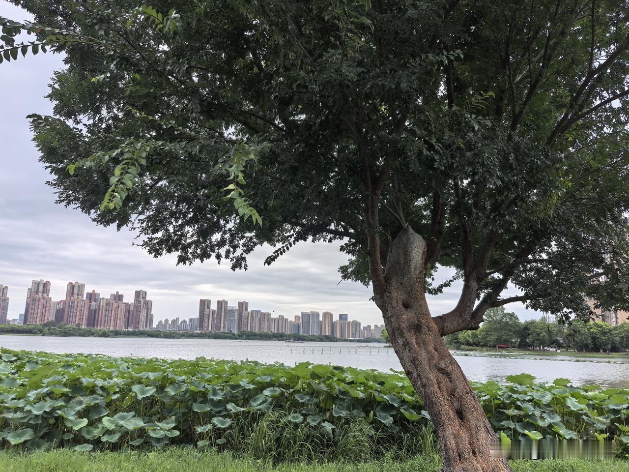 关于结婚生孩子这些事，有能力的喜欢且积极的就多生几个。能力不足缺乏热情的就少生或