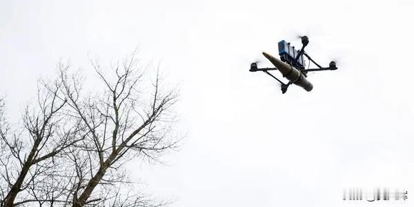 无人机袭击莫斯科，三座机场暂停运营
 
11月24日，莫斯科市长谢尔盖·索比亚宁