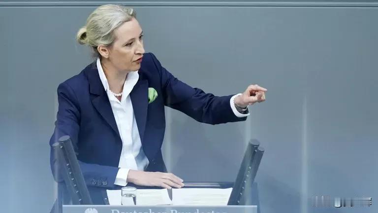 德国选择党联合主席爱丽丝·魏德尔表示，乌克兰叫停经“友谊”管道向匈牙利的石油过境