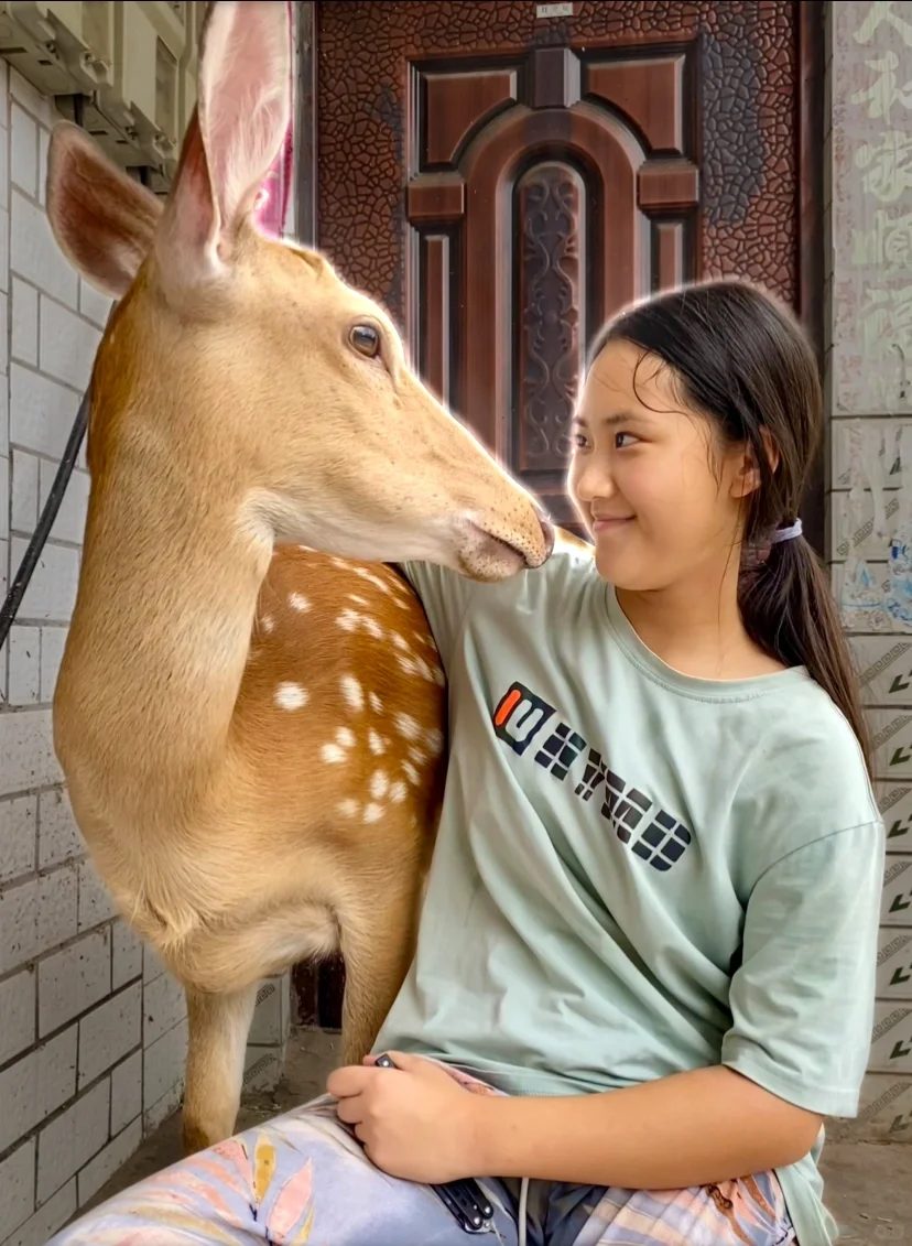 反正就是亲上了，还看对眼了