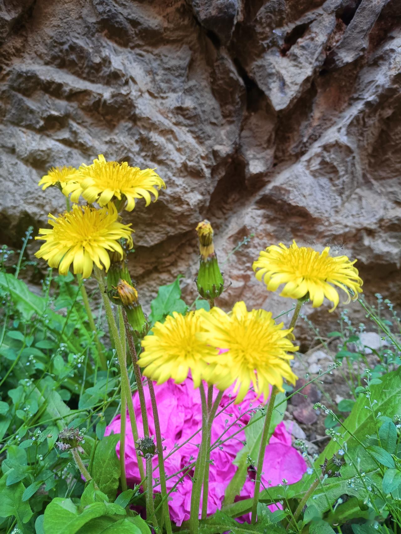 今遇到一个挺幽默的人，
我看到他一直打嗝，
停不下来的那种，
我就问他咋了？
人