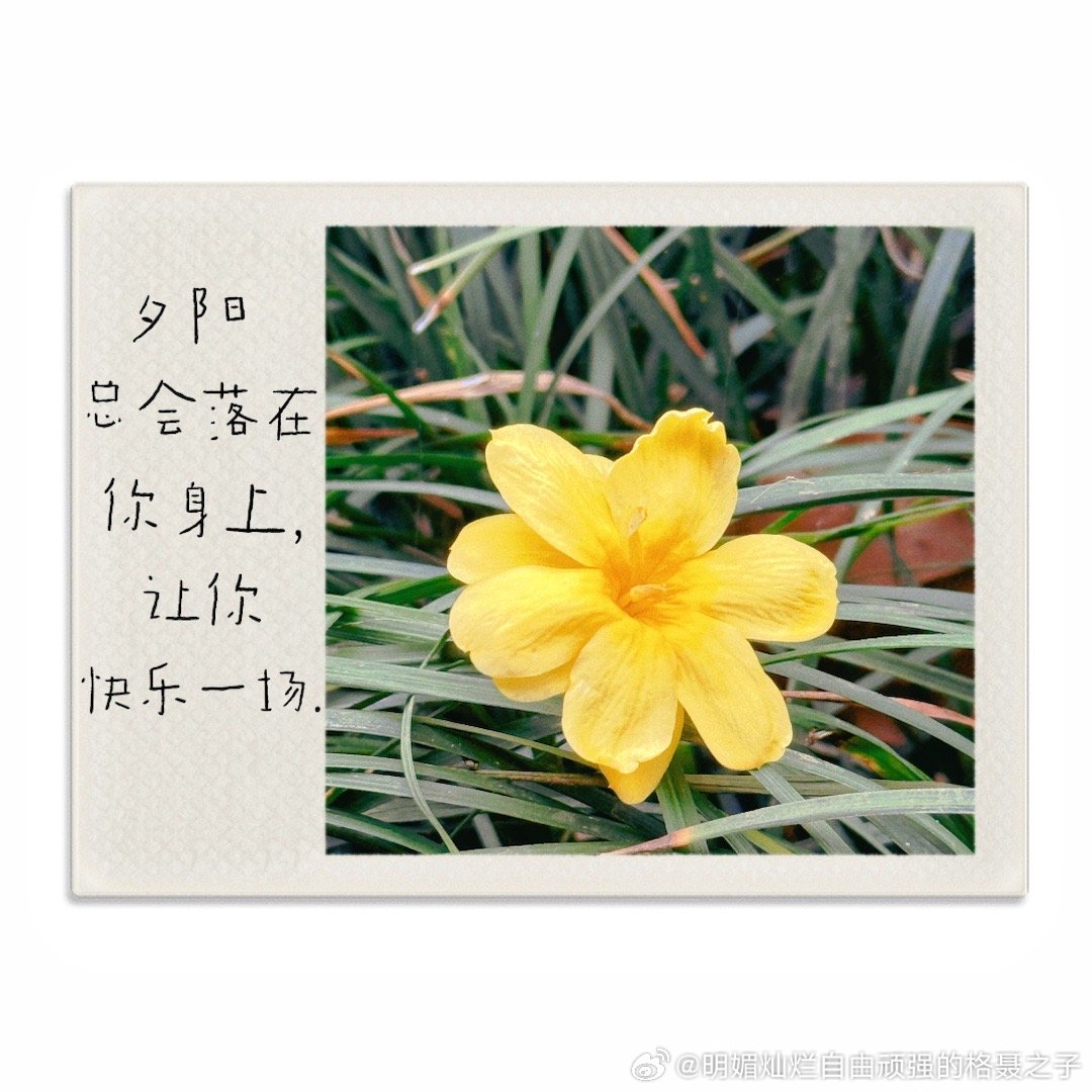 春天总会如期而至，未来的日子，都会是春天的延续。 