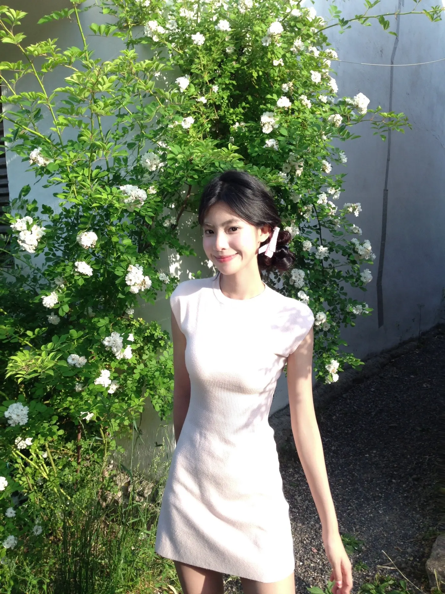 我不是你要找的那只蝴蝶 对吗