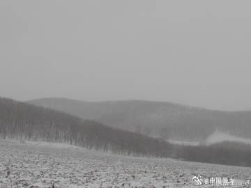 雪还在下， 完达山披上洁白的盛装，树木脱掉绿色外衣，它在冬藏，积蓄着能量，等待春