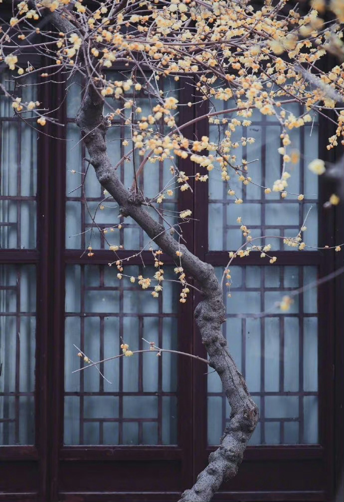 岁月这东西，总是要按时带走它要带走的部分。——村上春树