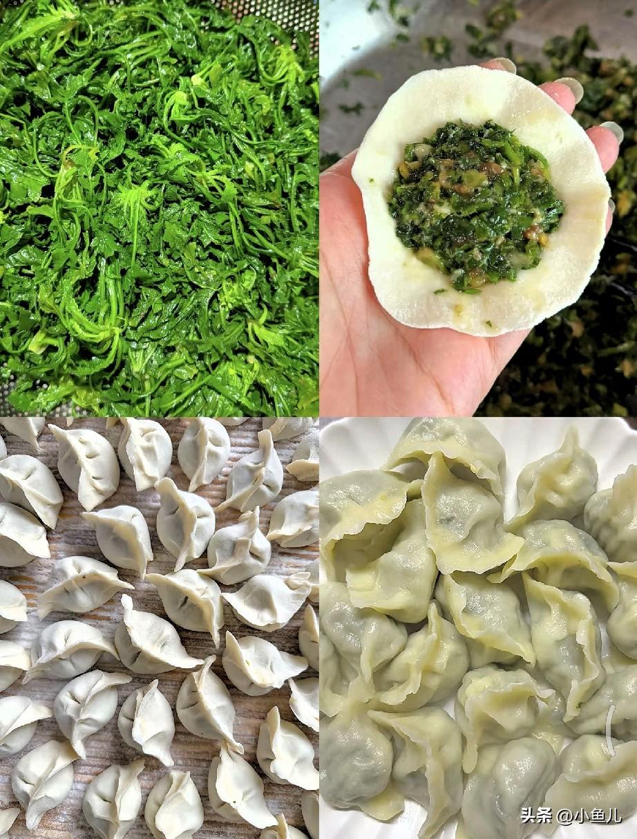 春天必吃的一口鲜，就是荠菜饺子！

刚冒头的荠菜最嫩，洗净焯水切碎，搭配猪肉馅，
