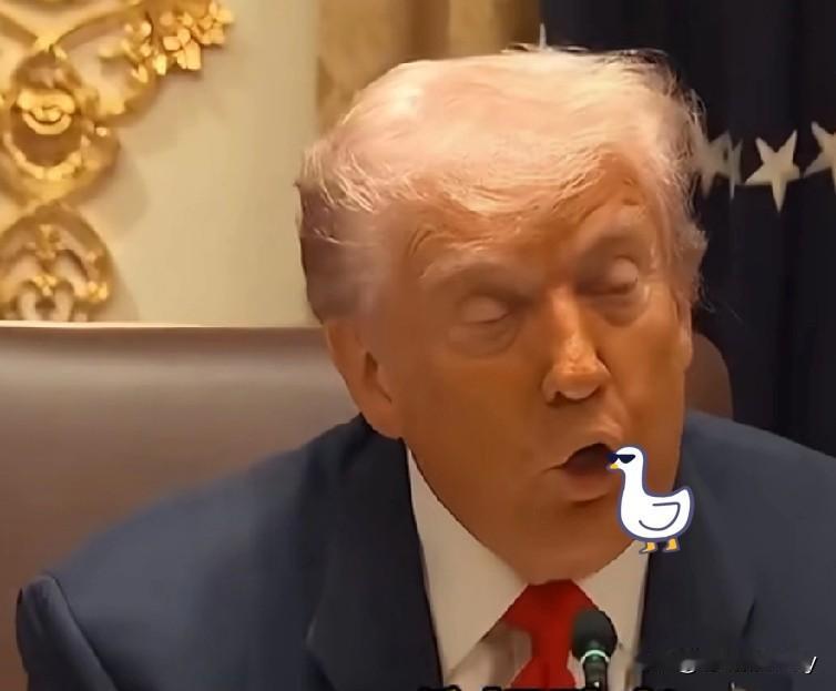 快讯!快讯!

特朗普面临两难

1月9日，美国特朗普面临双重压力。一方面，他必