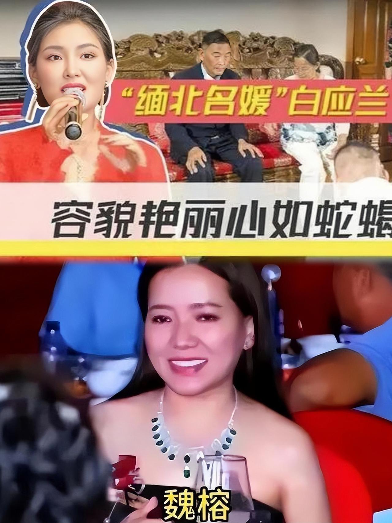 白应兰潜逃反转：
整容偷渡三次被拦，体面人设全崩塌。
白应兰是个“逃”字当头的女