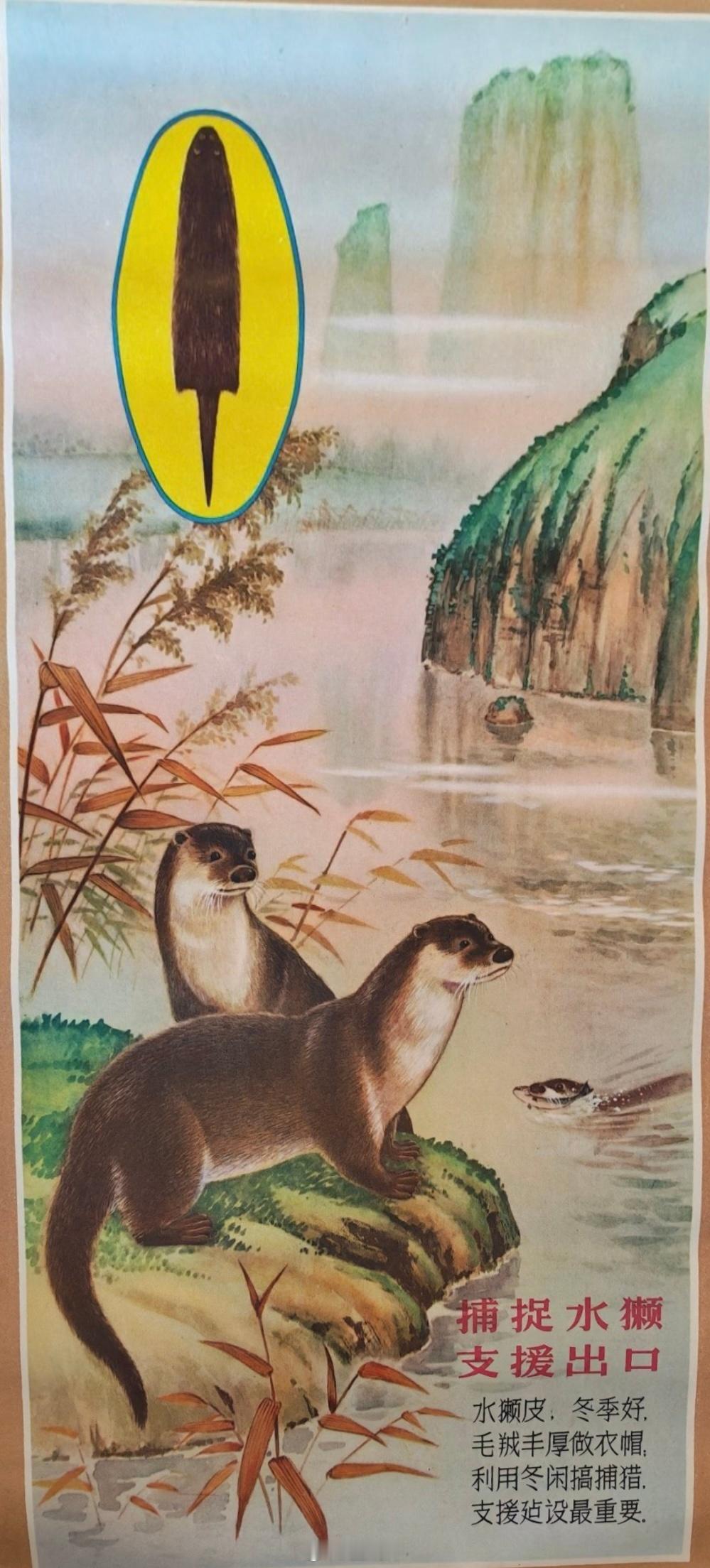 市场上发现了好东西。 