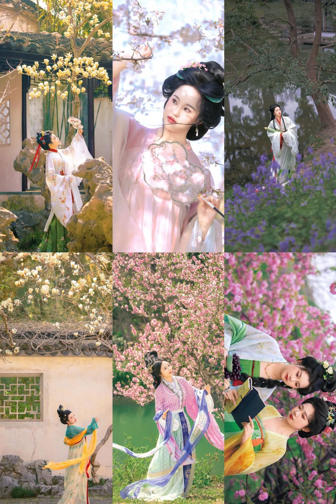 一些客片们｜“江南报春花”🍃