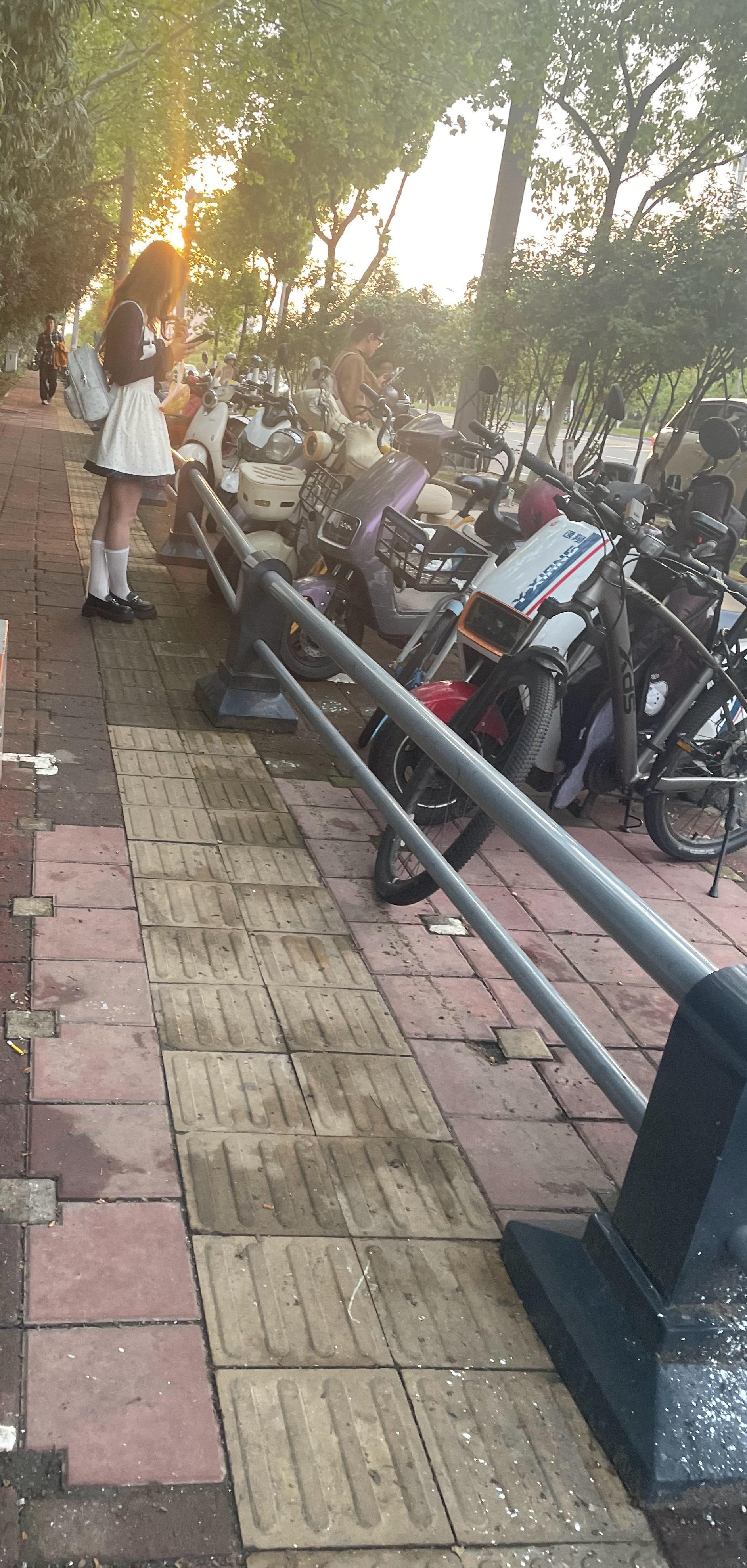 昨日下班时候春天的道路