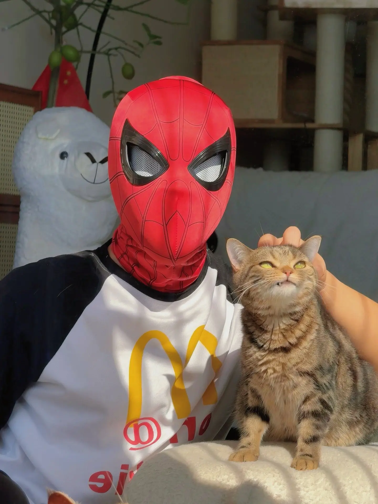 蜘蛛侠与猫猫真的很配！！！好喜欢她的小牙牙