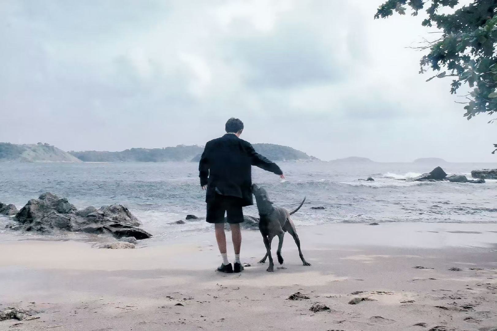 易烊千玺与狗狗海边合拍易烊千玺继续向前易烊千玺与狗狗在海边合拍 