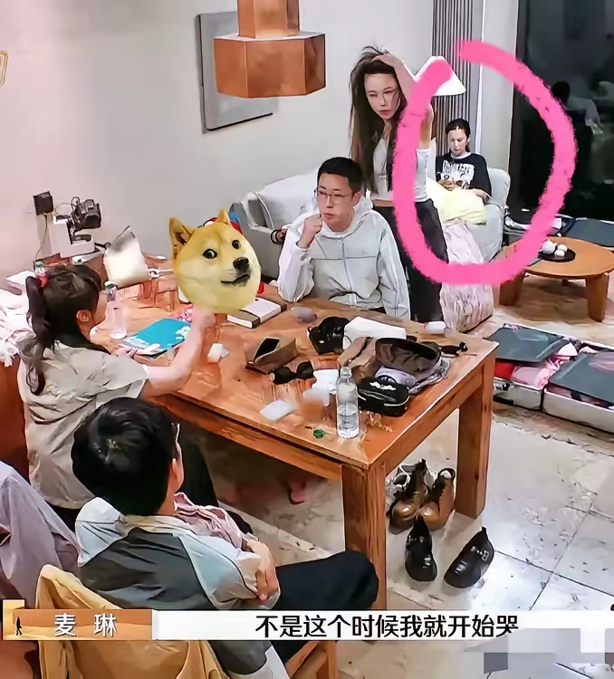 圣依录制综艺目标很强参加节目不是来哄谁谁谁只是提高自己知名度，希望改善自己的婚姻
