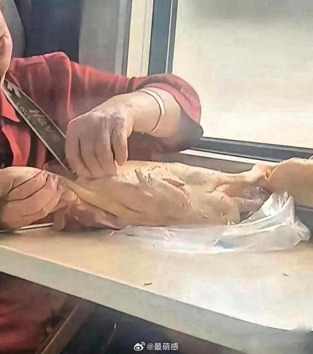 我天，大娘厉害啊，火车上给鸭子拔毛这操作真是惊到我了 