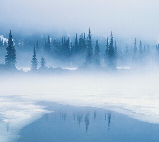 在世间，本就是各人下雪，各人有各人的隐晦和皎洁。――今山事《一杯茶垢》