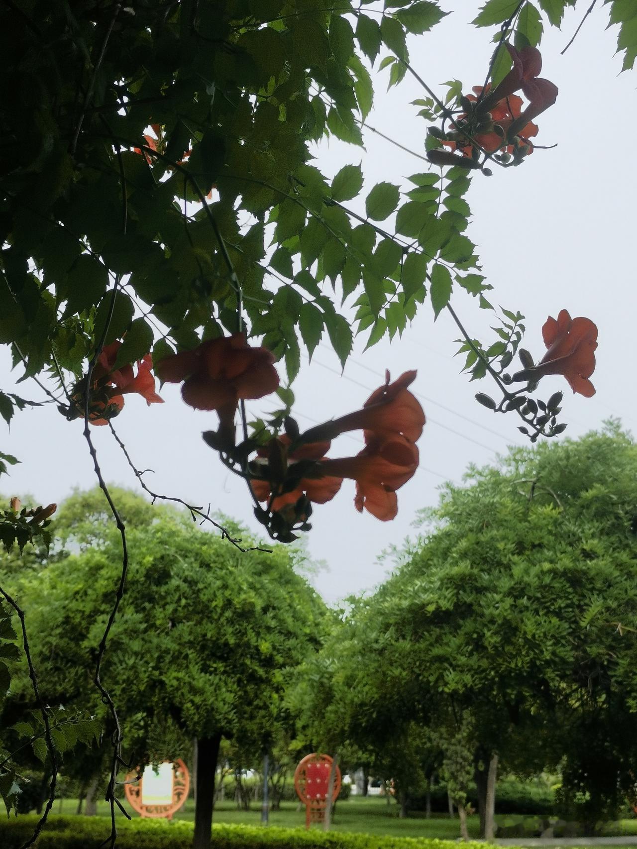细节是生活的调味品，为我们的生活增添一抹亮色和独特的味道。