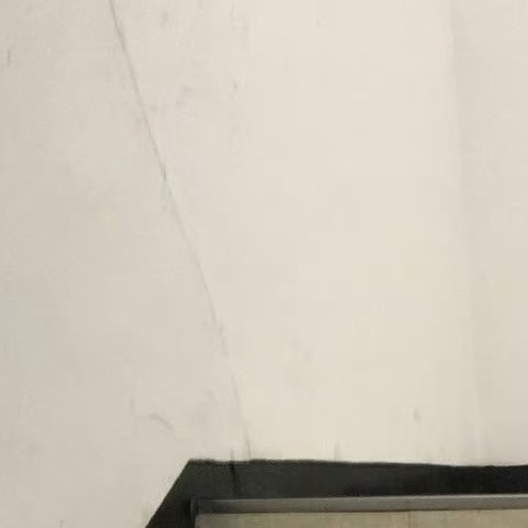 0000《蜀相》杜甫丞相祠堂何处寻？锦官城外柏森森。映阶碧草自春色，隔叶黄鹂空好