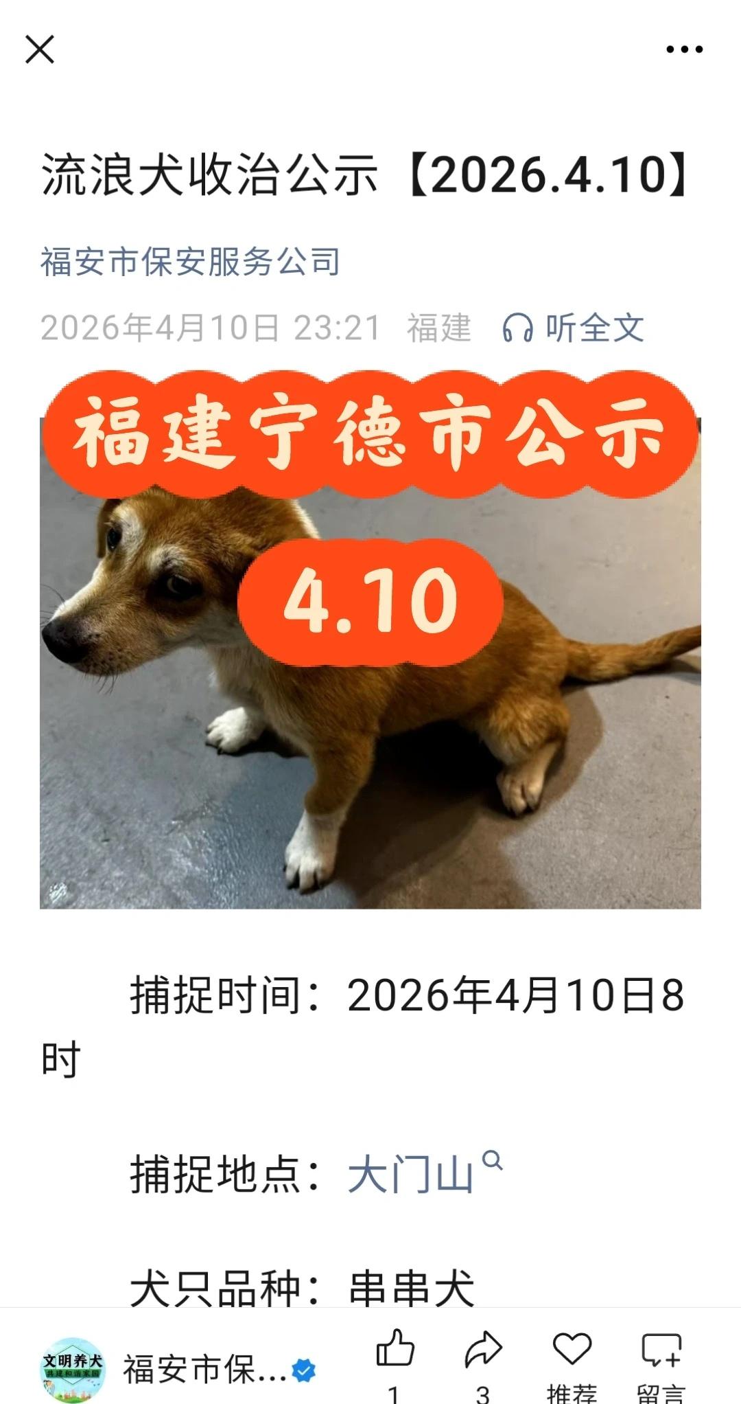 福建宁德市犬留所2026.4月10日犬只公示
宁德寻狗  2只狗狗，公示5天时间