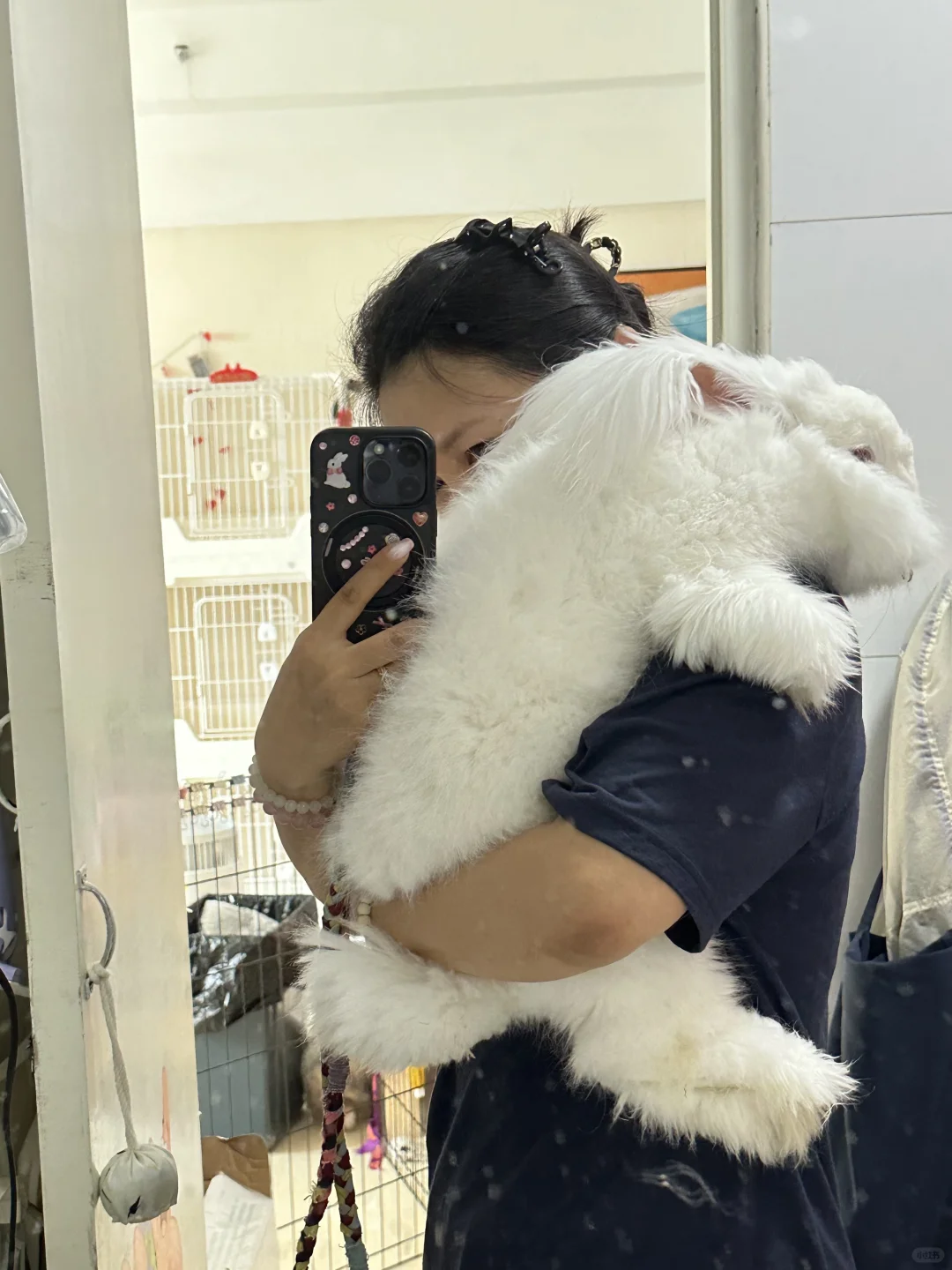 填写标题更多赞