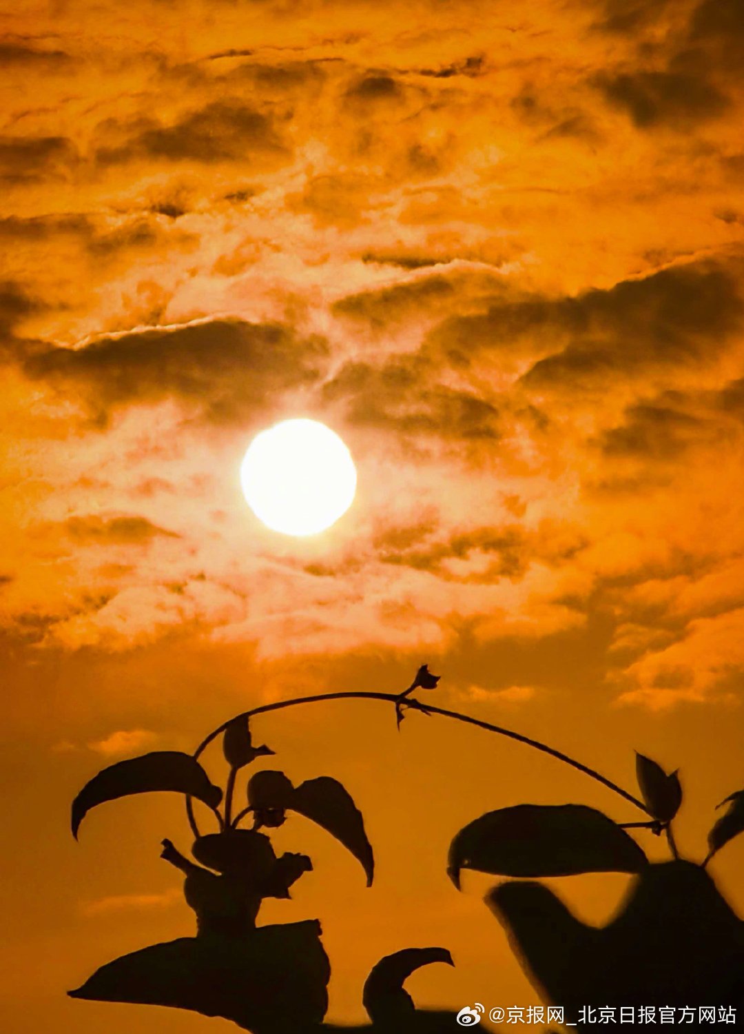 【#北京晚霞标记美好生活#】#北京治愈系夕阳致敬所有奋斗者# 7月23日，大暑。